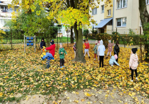 Grupa III w ogrodzie przedszkolnym