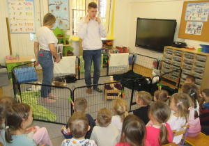 Poznanie imion królików