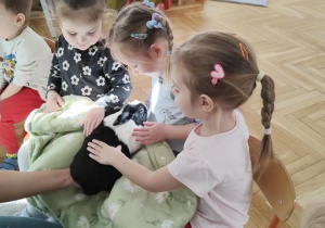 Warsztaty z Królikoterapi