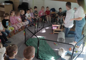 Warsztaty z Królikoterapi