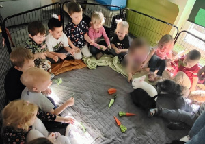 Warsztaty z Królikoterapi