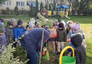 Posadzenie krzewu Trzmielina w ogrodzie przedszkolnym