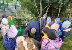 Wspólne sadzenie krzewu i nadanie jej imienia Tereska