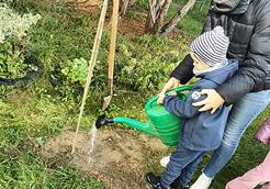 Uroczyste podlewanie krzewu przez przedszkolaki