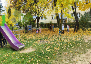 Jesienny zabawy w ogrodzie