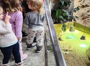 Wycieczka do Orientarium z Zoo w Łodzi grupa II