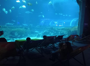 Wycieczka do Orientarium grupy III