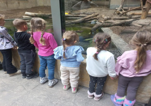 Oglądanie zwierząt w Orientarium