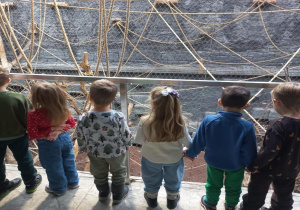 Podziwianie życia małpek