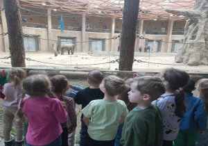 Oglądanie przez dzieci z grupy III słoni
