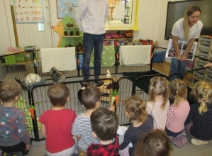 Warsztaty z Królikoterapii w grupie I 2025/2026