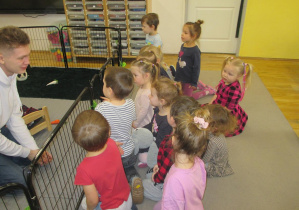 Dzieci słuchają ciekawostek o królikach