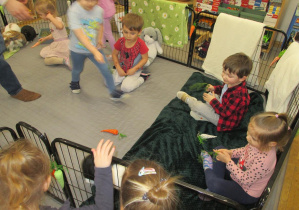 Dzieci poznają obyczaje zwierząt i karmią króliki