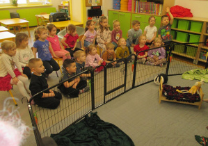 Poznanie historii i zwyczajów królików