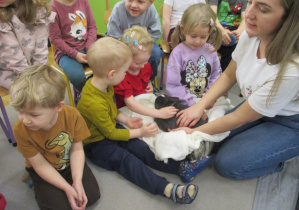 Głaskanie królików przez dzieci