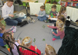 Karmienie królików