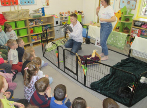 Warsztaty z Królikoterapii w grupie III 2025/2026