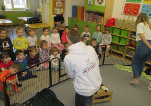 Poznanie zwyczajów królików