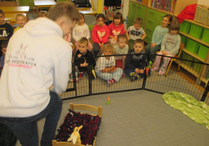 Słuchanie opowieści o królikach